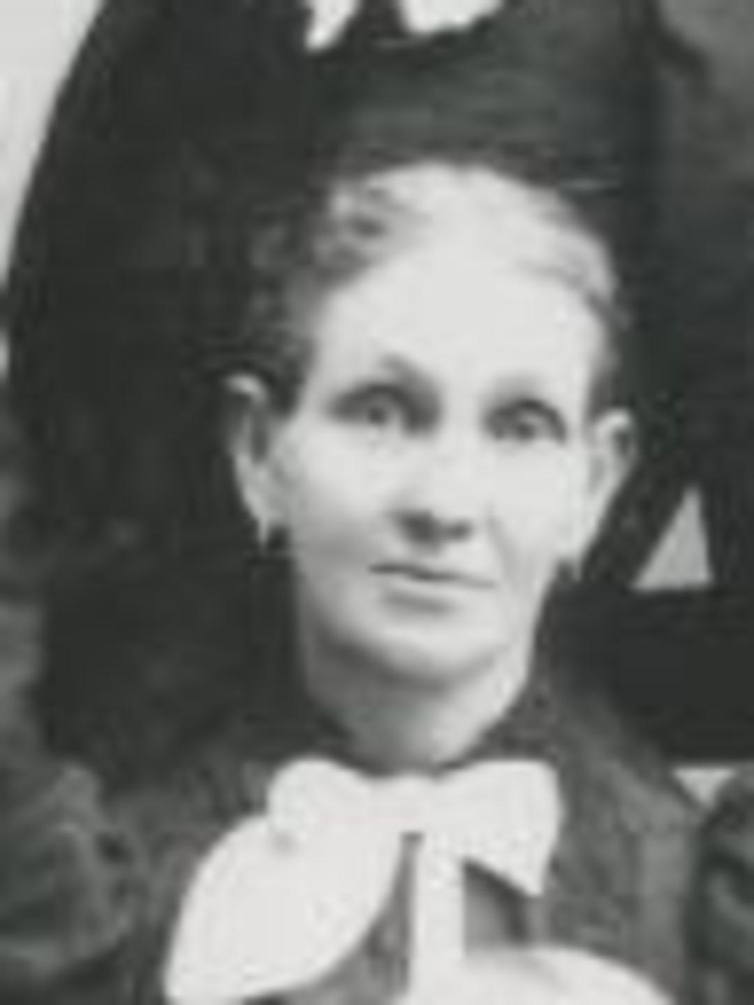 Abigail Burbank (1848 - 1935) Profile